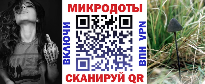 купить наркотик  Болхов  Псилоцибиновые грибы Cubensis 